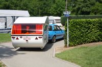 IMG 7904