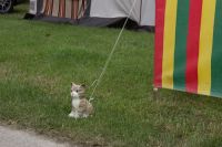 IMG 0191