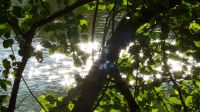 Krummweiher 032