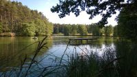 Krummweiher 036