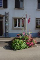 IMG 0741