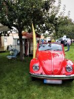 IMG 2018 WA0011