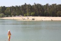 IMG 4008