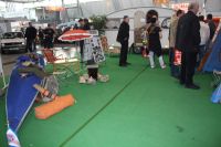 IMG 3568